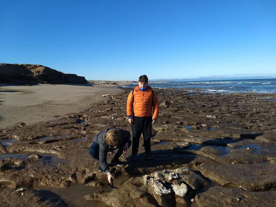 Familia de Miramar encuentra restos fósiles de un perezoso en la costa de Mar del Sud