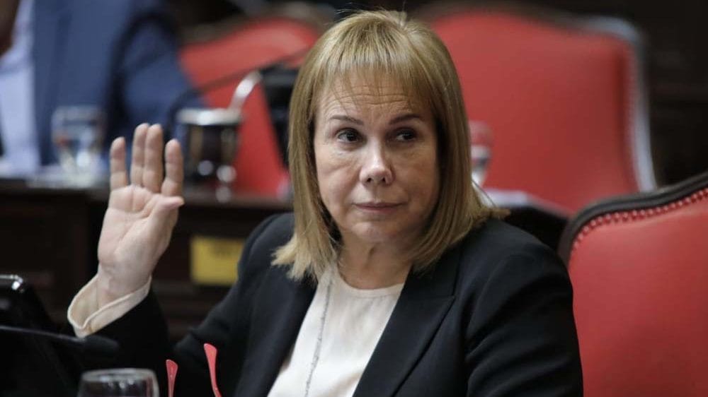Bahía Blanca: La senadora del Pro Nidia Moirano justificó su vacunación y negó que sea "vip"  