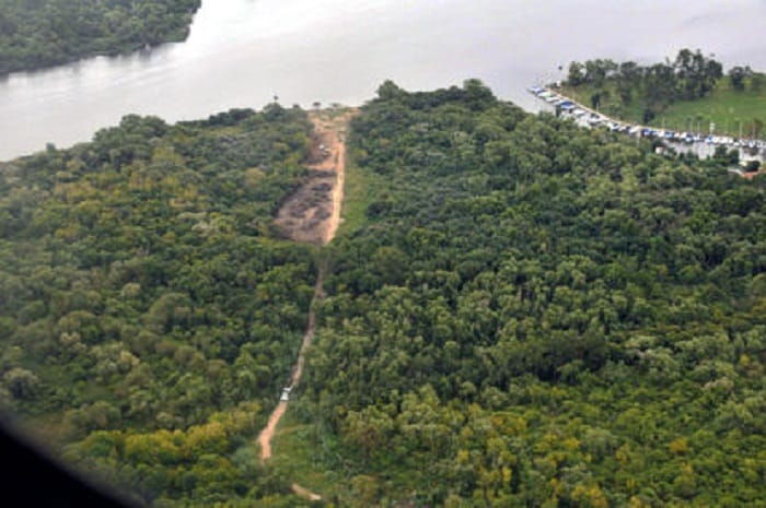 Denuncian deforestación en área protegida de Ensenada