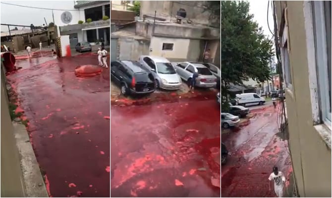 Video: Cedió tanque con sangre animal de un frigorífico en Morón y las calles se volvieron un "río rojo"