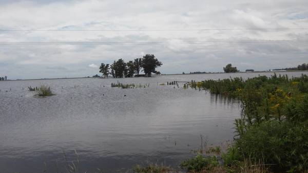 Inundaciones: Esperan nuevas lluvias el próximo lunes 7 