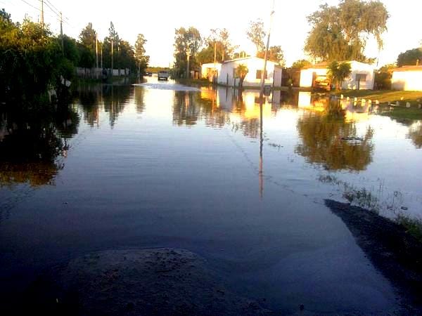 Temporal: El agua entró a Navarro y hay vecinos evacuados