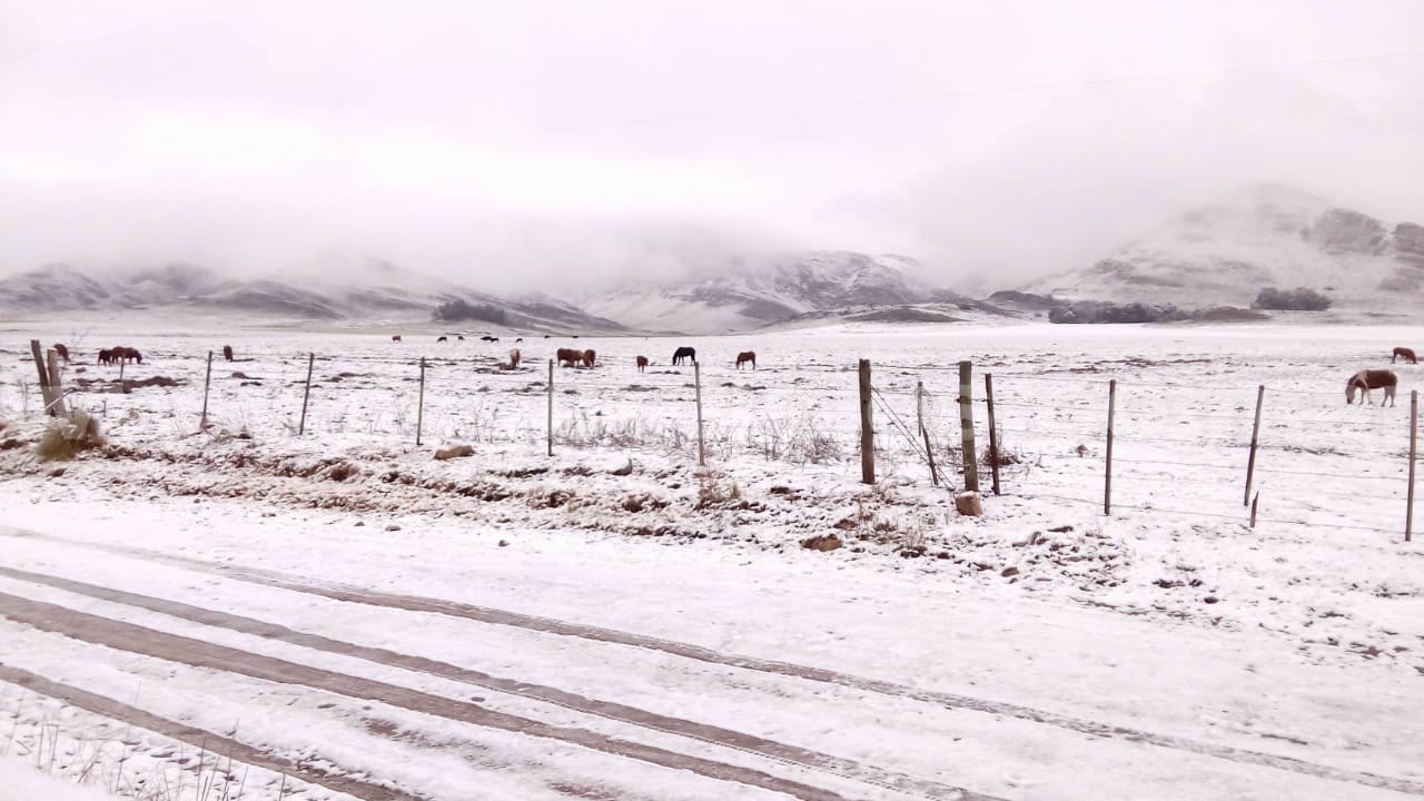 Nieve en Provincia: Qué dice el Servicio Meteorológico Nacional