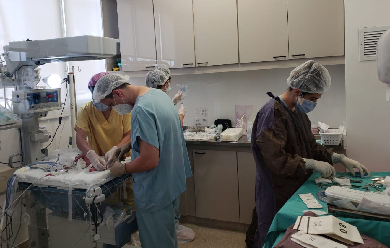 Cirugía histórica en Tigre: El Hospital Materno Infantil realizó  la primera operación cardiovascular