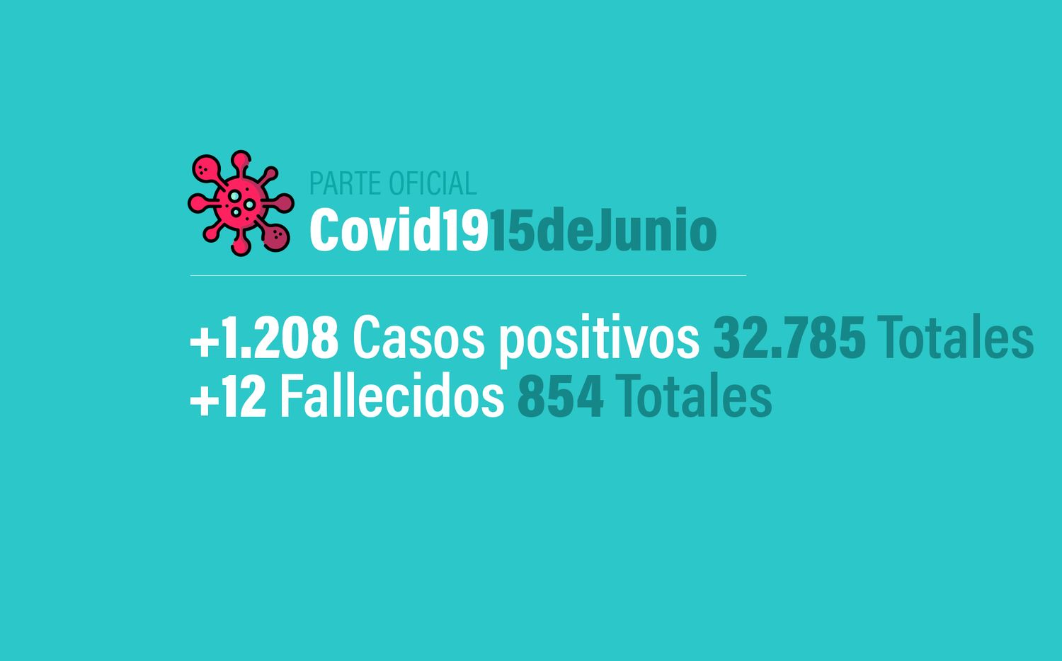 Coronavirus en Argentina: 1208 nuevos casos, 32785 confirmados y 854 muertes, al 15 de junio
