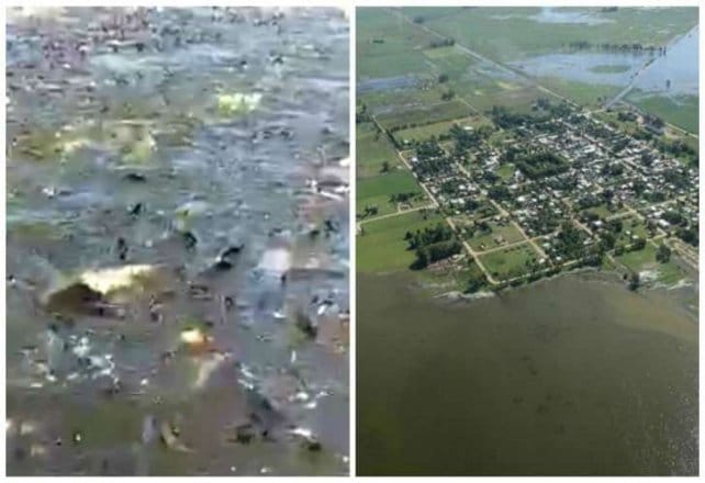 Insólito: Por las inundaciones aparecieron peces en un campo de General Villegas