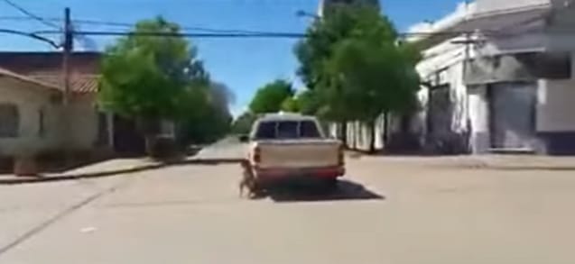 [VIDEO] Chacabuco: Suspenden a empleado municipal que arrastró a un perro con una camioneta