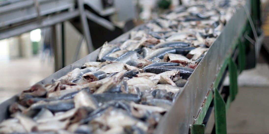 Advierten por fraude en la venta de pescado en la costa bonaerense