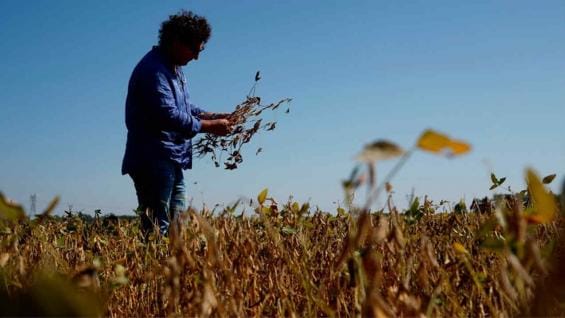 Productores de 13 municipios bonaerenses podrán acceder a beneficios por la sequía: Uno a uno, cuáles son