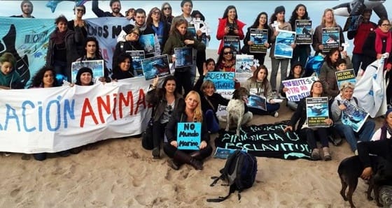 Protestan contra Mundo Marino y piden la liberación de una orca