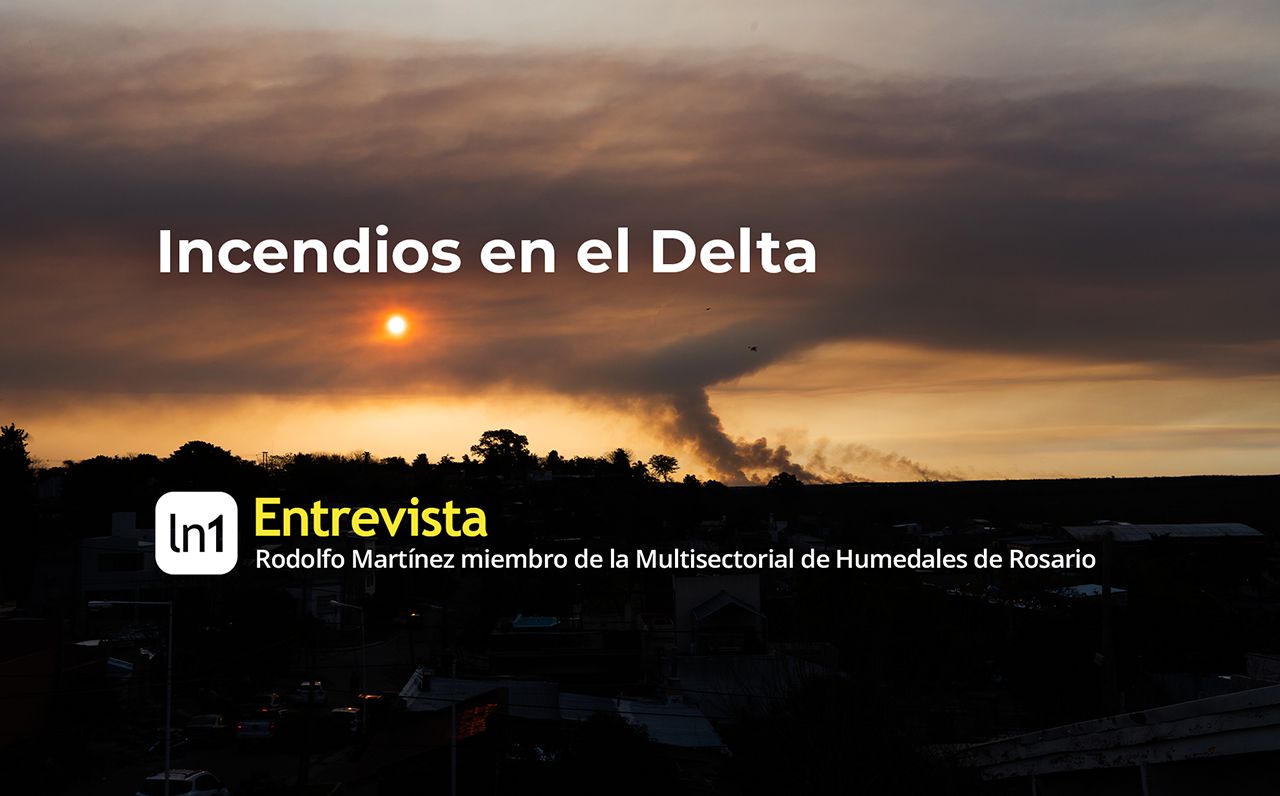 Incendios en el Delta: "O ponés al mejor ambientalista o seguís haciendo el show y videítos por internet"