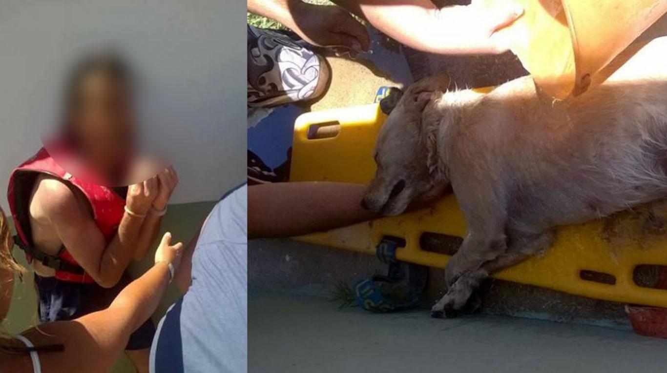 Quequén: Dejó a su perro en el auto para ir a la playa y el animal murió por el alto calor