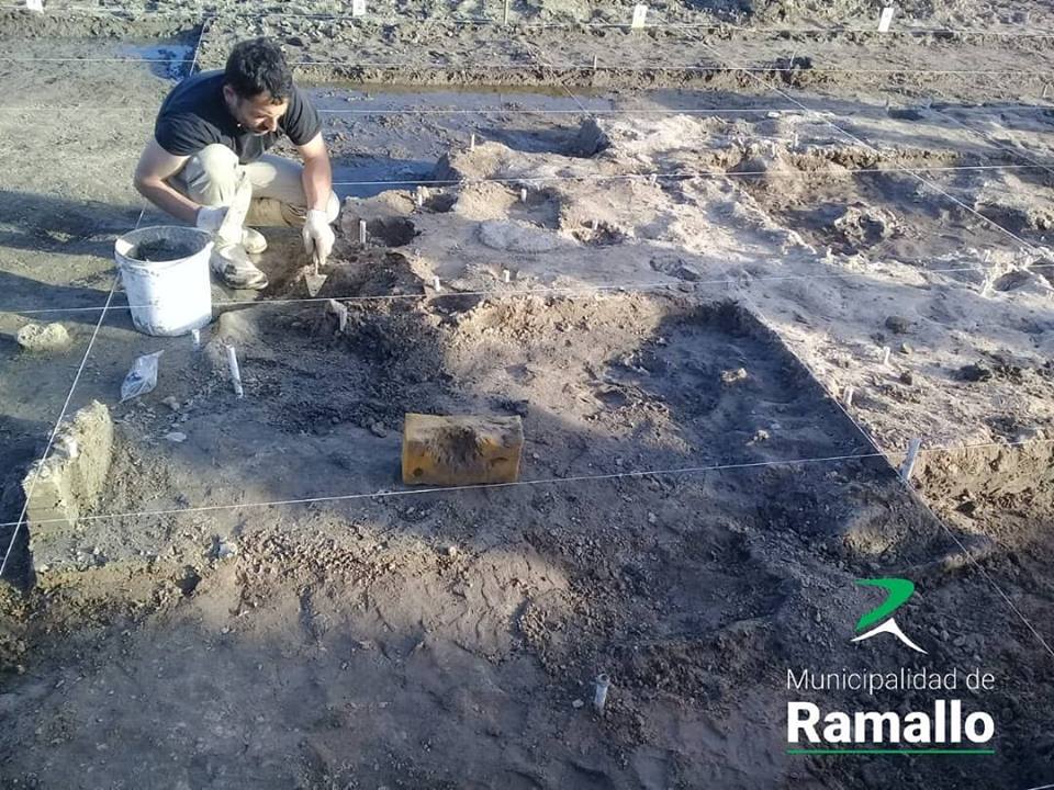 Ramallo: Hallan restos fósiles de una ballena en el margen de un arroyo