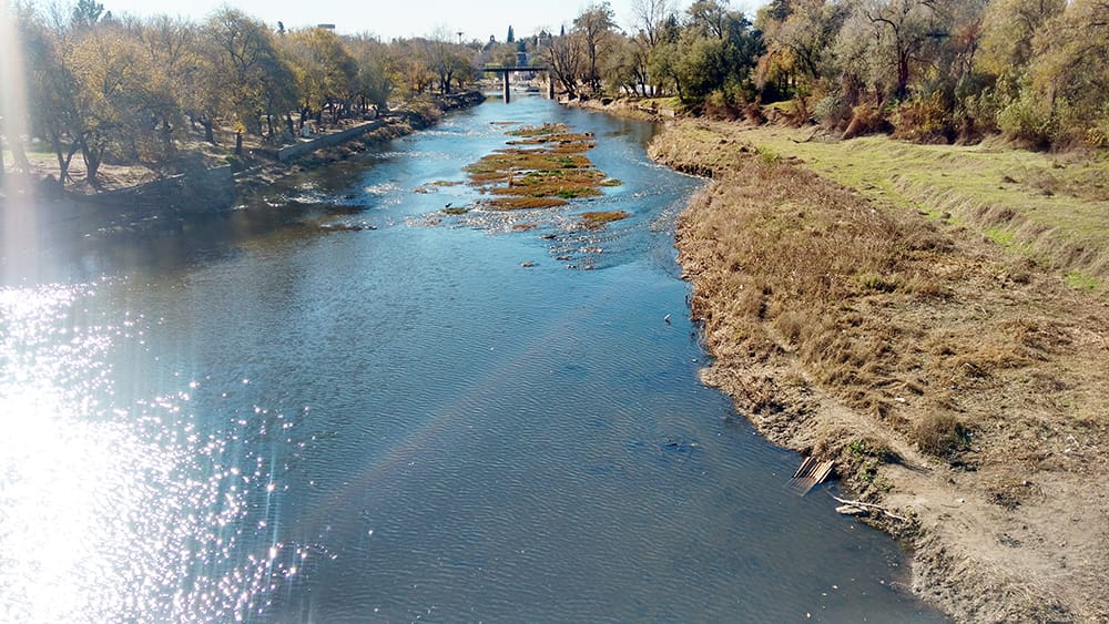 Un estudio reveló que hay niveles alarmantes de glifosato en el río Luján