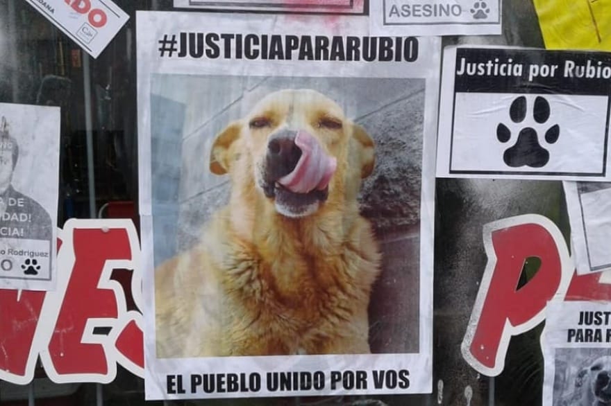 La Costa: Declaran "Persona no grata" al asesino del perro que fue atado a una camioneta y arrastrado por 2 km