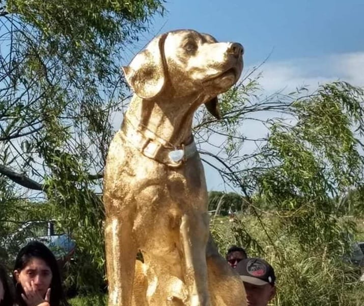 Mar del Tuyú: Monumento a "Rubio", el perro que murió arrastrado por automovilista