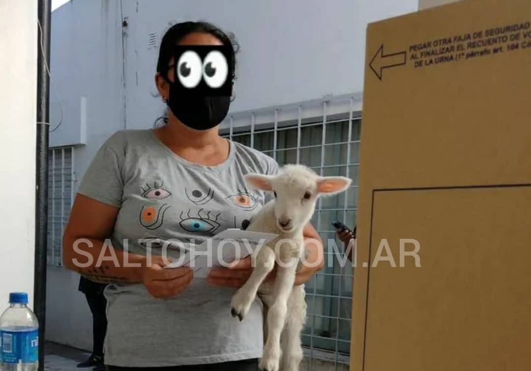 Sorpresa en Salto: Una mujer fue a votar con un cordero en brazos