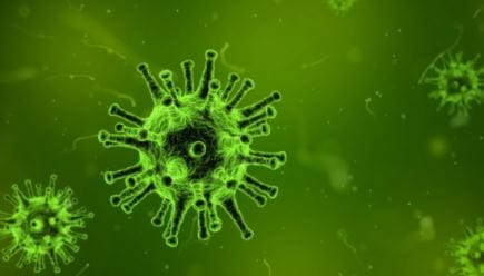 #Coronavirus 26 de enero: 10.409 nuevos casos y 219 muertes informadas en las últimas 24 horas