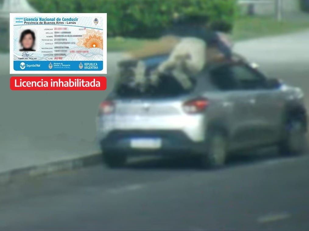 Se inhabilitó la licencia del joven que circuló con ocupantes en el techo de su vehículo