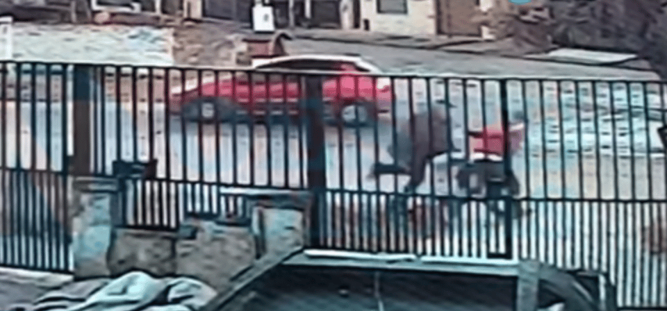 Video: Cámara de seguridad registró un violento intento de secuestro a una mujer en Hurlingham