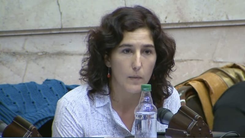 Nathalia González Seligra: "La presencia de los gobernadores es para apretar a los diputados"