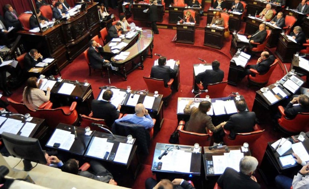 El Senado estudia un proyecto de ley que busca prohibir la pirotecnia en toda la Provincia
