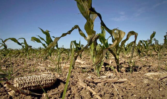 Emergencia agropecuaria por sequía e inundaciones para varios partidos bonaerenses