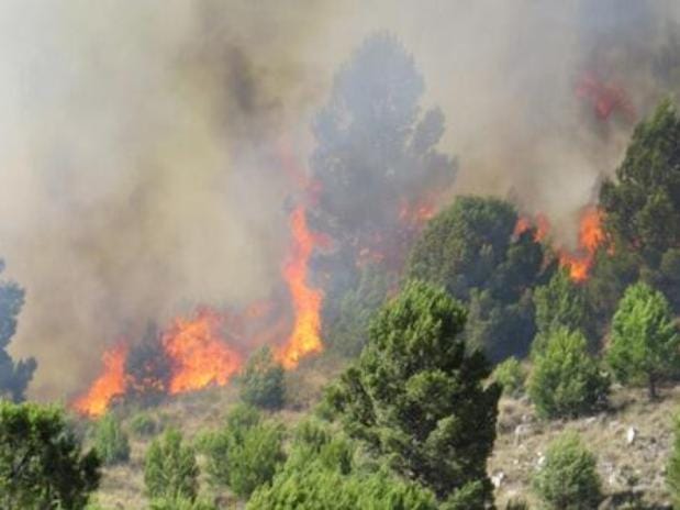 Incendios: Scioli eximió de pagar impuestos a los damnificados