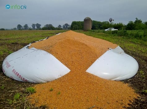 Destruyen un silo bolsa con maíz en Cañuelas y acusan al Gobierno