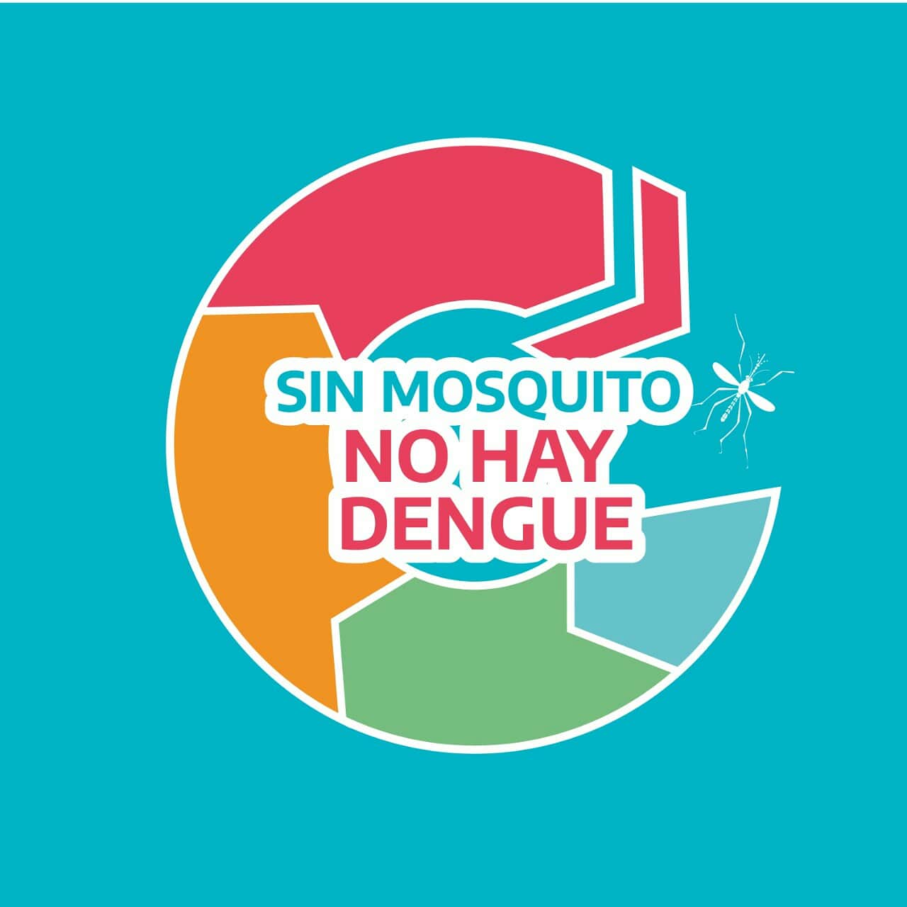 #TapáLaváTiráGirá: En qué consiste la campaña digital que lanzó el gobierno provincial contra el dengue