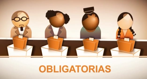 Elecciones 2013: Gobierno de Scioli difunde spot informativo sobre las primarias