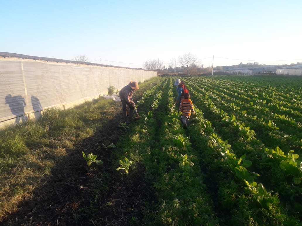 Berazategui: Explotación laboral a extranjeros y niños en quintas del parque Pereyra Iraola