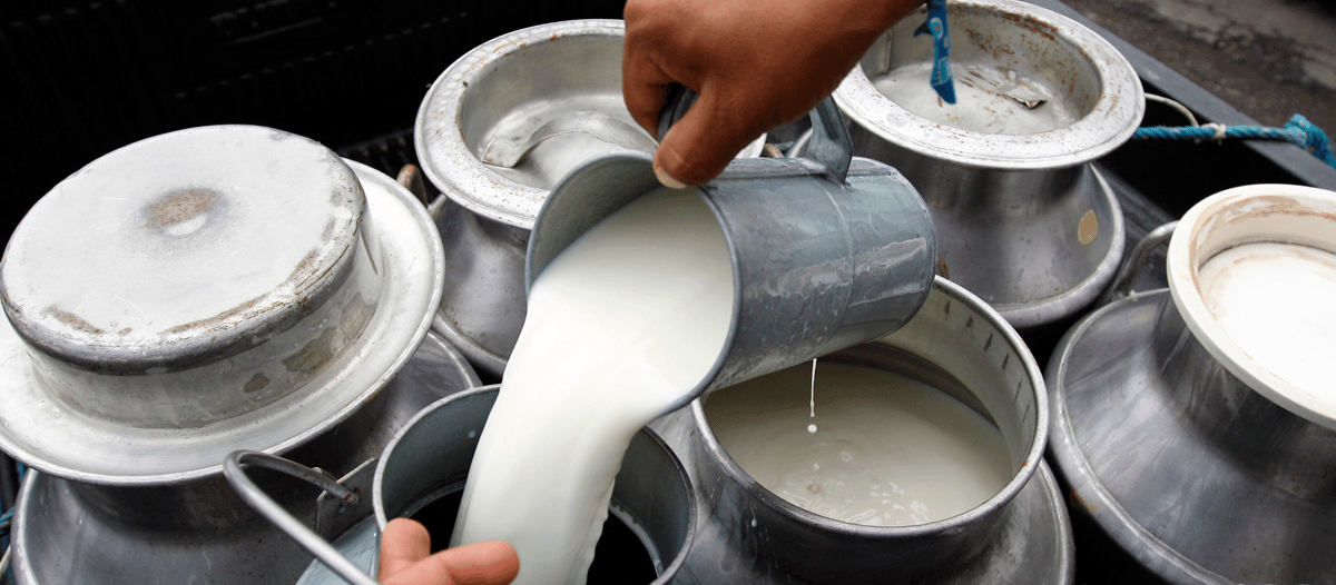 Un tambero de Villegas salió a vender leche a $20 pero la Municipalidad se lo prohibió