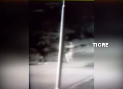 Video: Así asesinaron a un joven de 19 años para robarle la mochila en Tigre