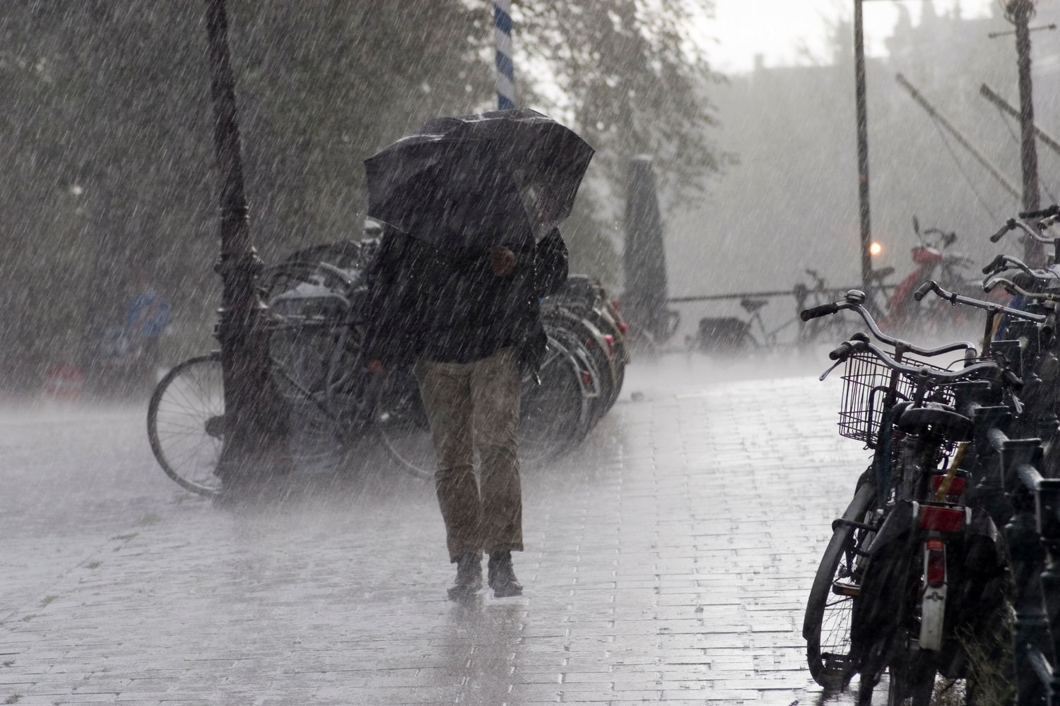 Alerta meteorológico por abundantes lluvias para el extremo norte de la provincia de Buenos Aires