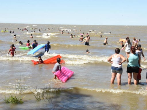 Alerta amarilla por la presencia de cianobacterias en el Río de La Plata