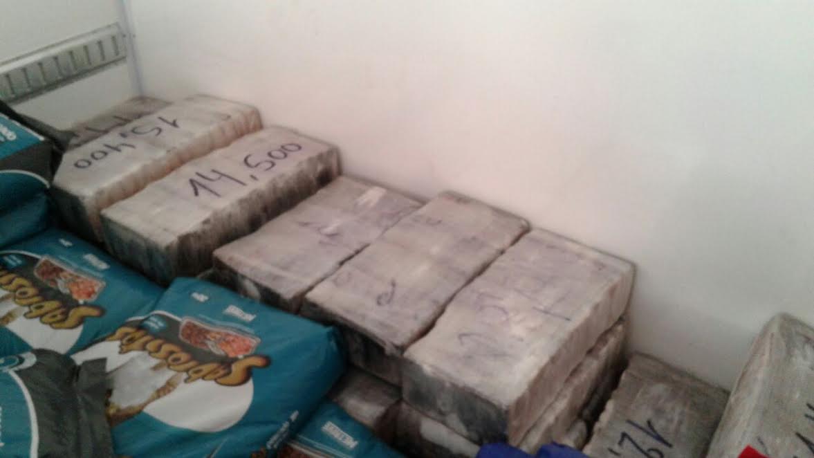 Villarino: Incautaron más de 1.000 kilos de marihuana en ruta 3