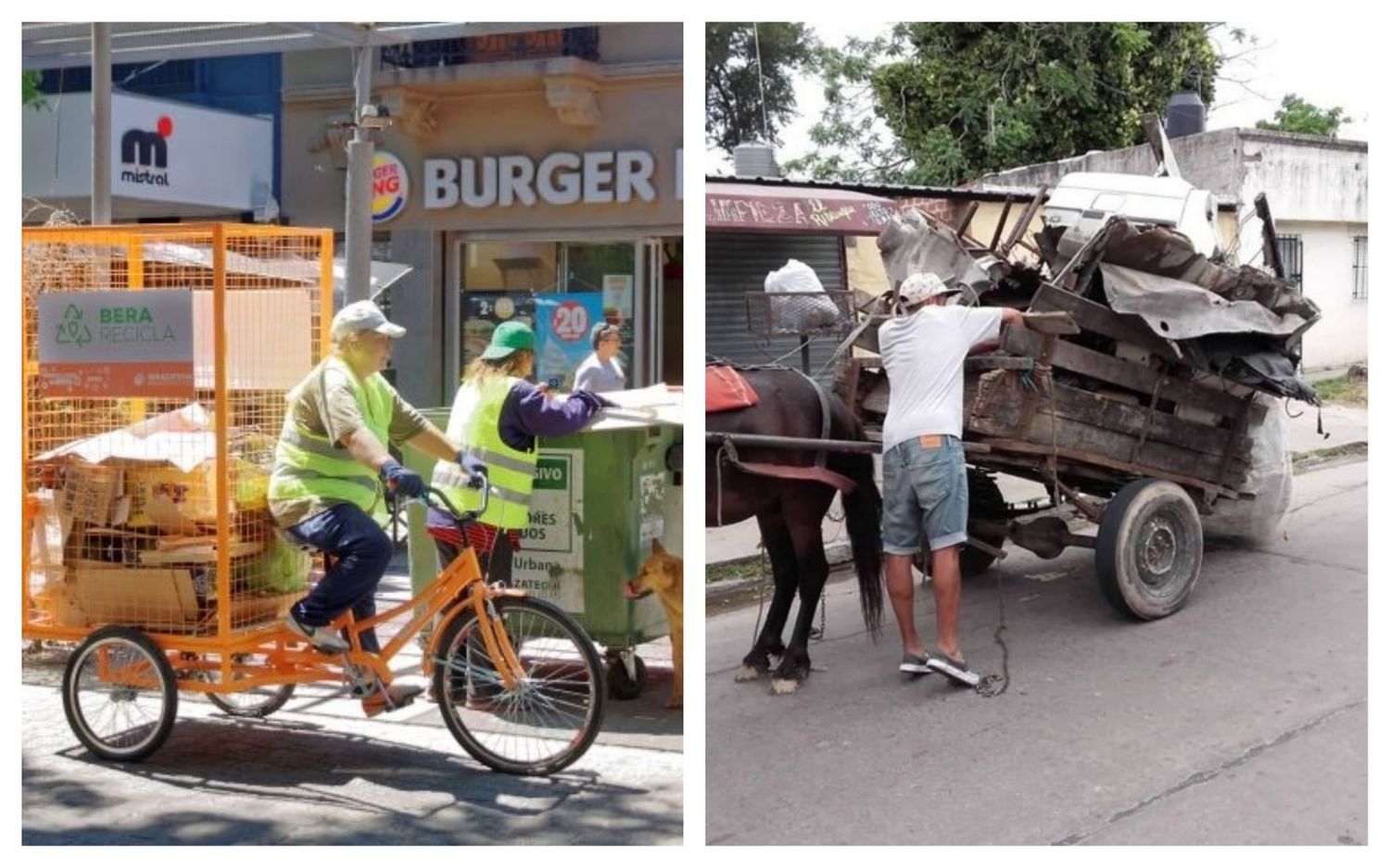 Berazategui: Mussi entregará bicicletas eléctricas para que los carreros no usen caballos