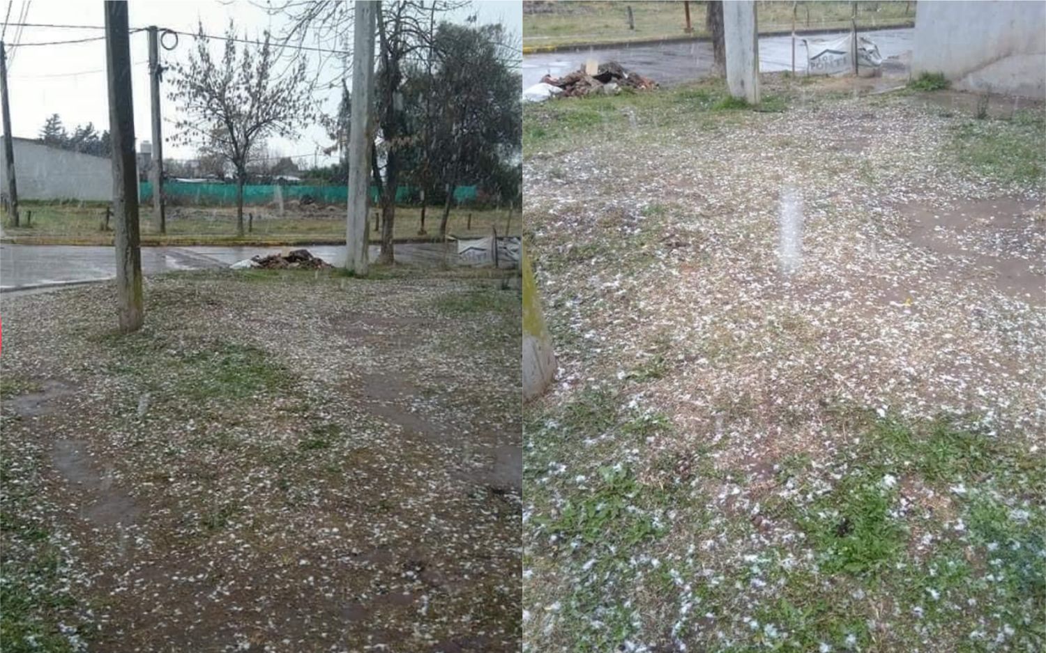 Nieve en la Provincia de Buenos Aires: Se registró en Lincoln, Ameghino, General Pinto, Coronel Pringles y Bragado