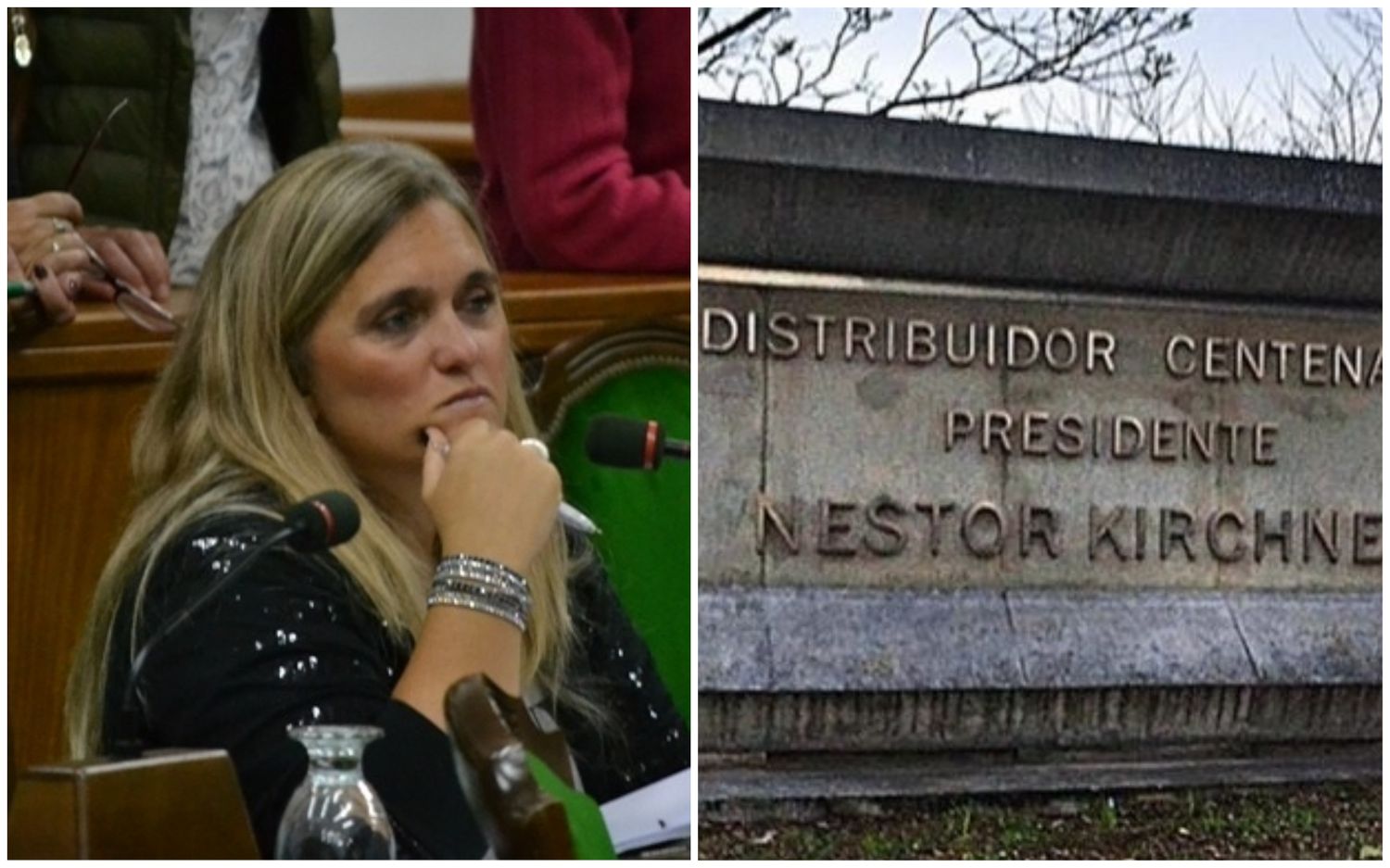 Agreden a la concejala que propone suprimir el nombre de Néstor Kirchner en Vicente López