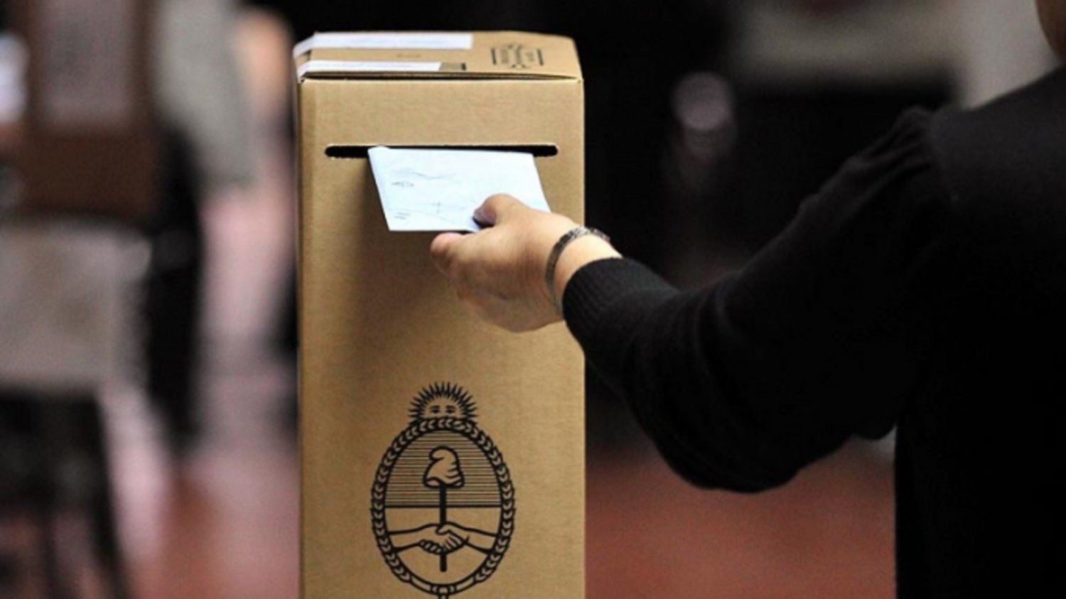 Votos de extranjeros en las PASO de Provincia: Kicillof arrasó con el 65%