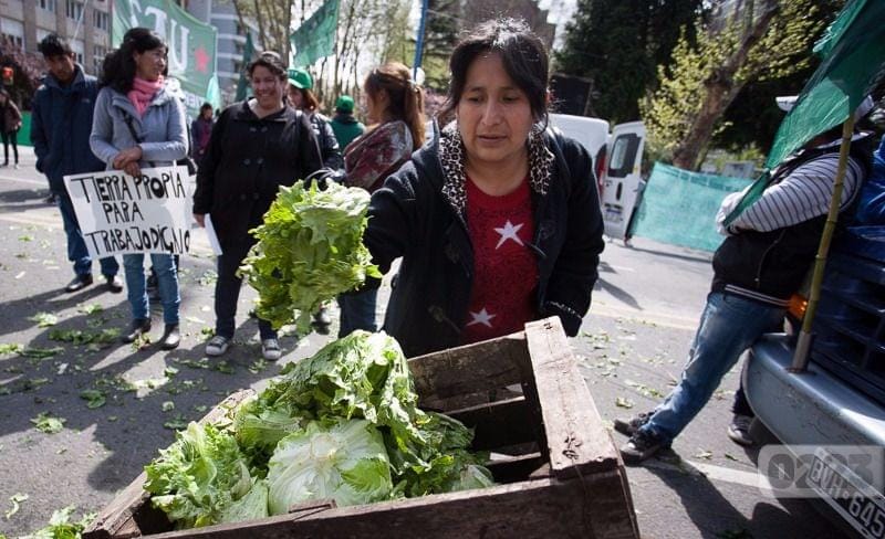 Mar del Plata: Pequeños productores protagonizan un "verdurazo" en reclamo de subsidios y créditos 