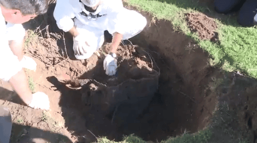Video: Así encontraron un barril enterrado en la quinta del "Pata" Medina