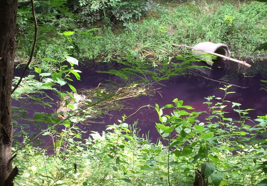 Preocupación en Luján: El arroyo Gutiérrez amaneció violeta
