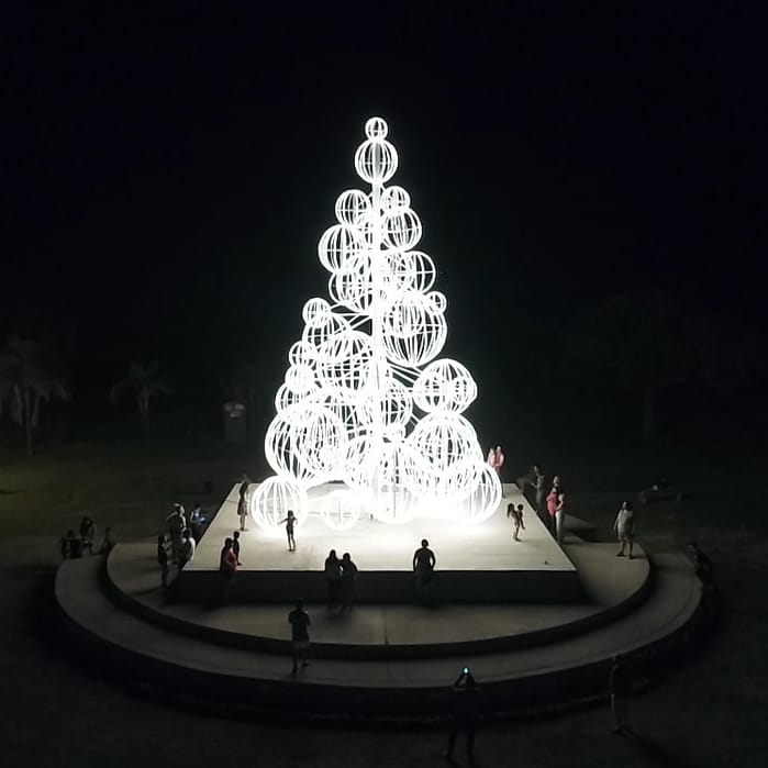 San Nicolás tiene el Árbol de Navidad más grande del país