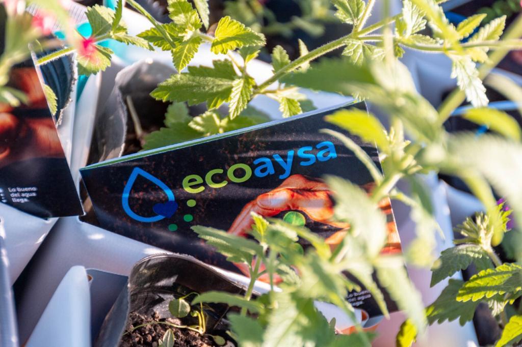 Galmarini lanzó EcoAySA para reducir la emisión de facturas en papel: Plantará árboles por cada adhesión digital
