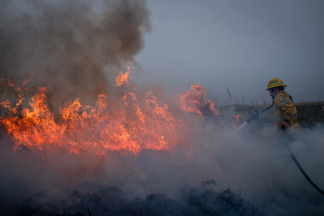 Incendio en la Reserva Natural de Mar Chiquita: Bomberos lograron contener las llamas 