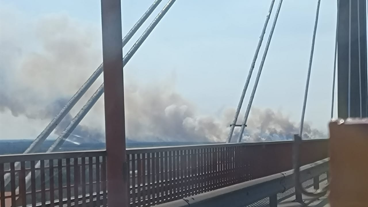 Se complica la situación por los incendios en las islas del Delta del Paraná: El fuego y el humo afectan a Zárate