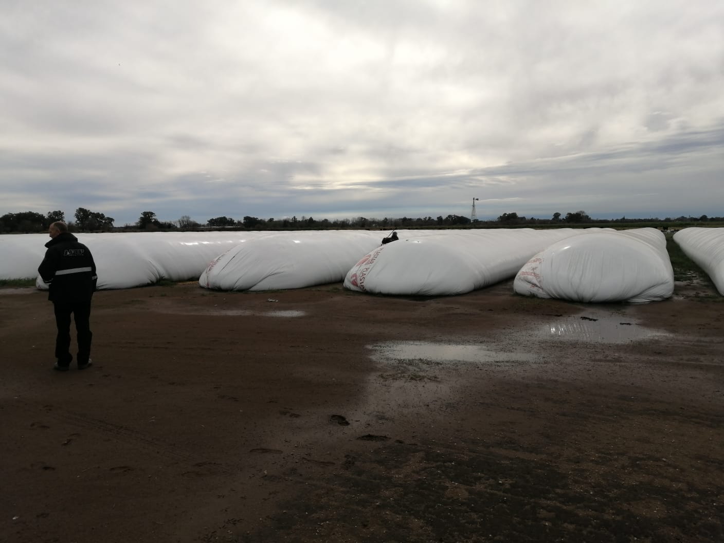Operativo de AFIP en Roque Pérez: Incautó casi 7 mil toneladas de granos sin declarar