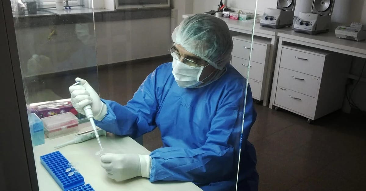 Los hospitales públicos bonaerenses tomarán muestras de sangre a familiares de desaparecidos